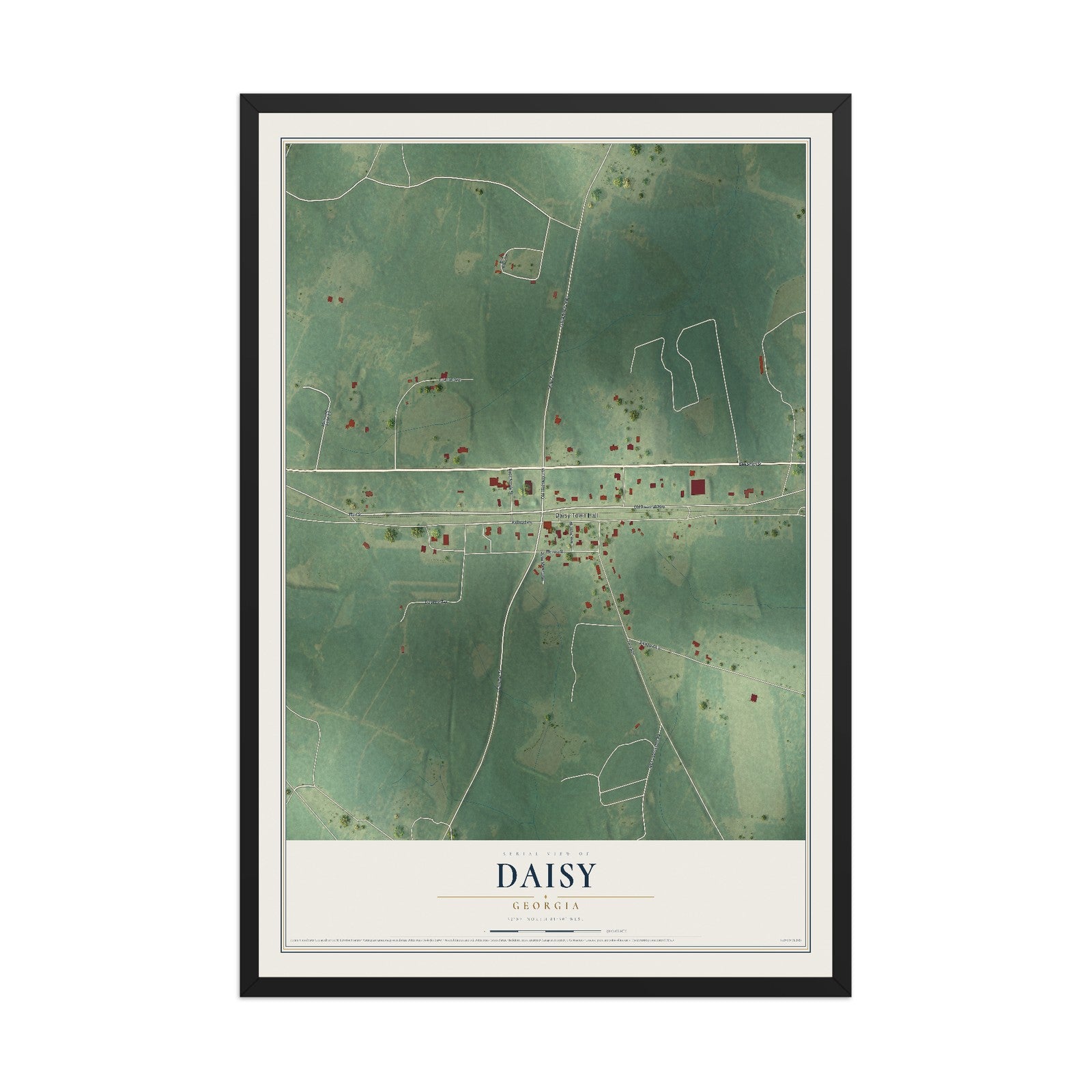 Daisy, Georgia map print, 12" x 18" W/ Black Ayous Wood Frame mockup