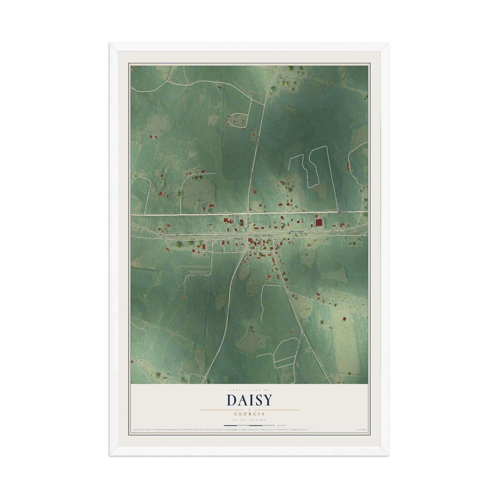 Daisy, Georgia map print, 12" x 18" W/ White Ayous Wood Frame mockup