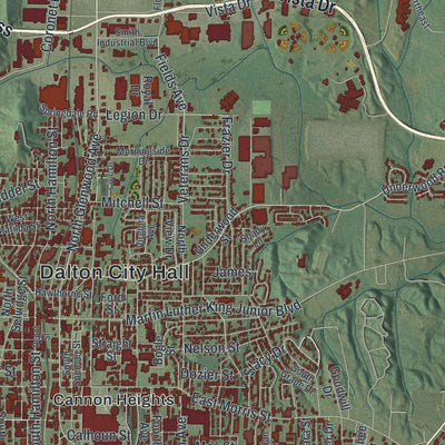 Close-up 2 of the Dalton, Georgia map artwork