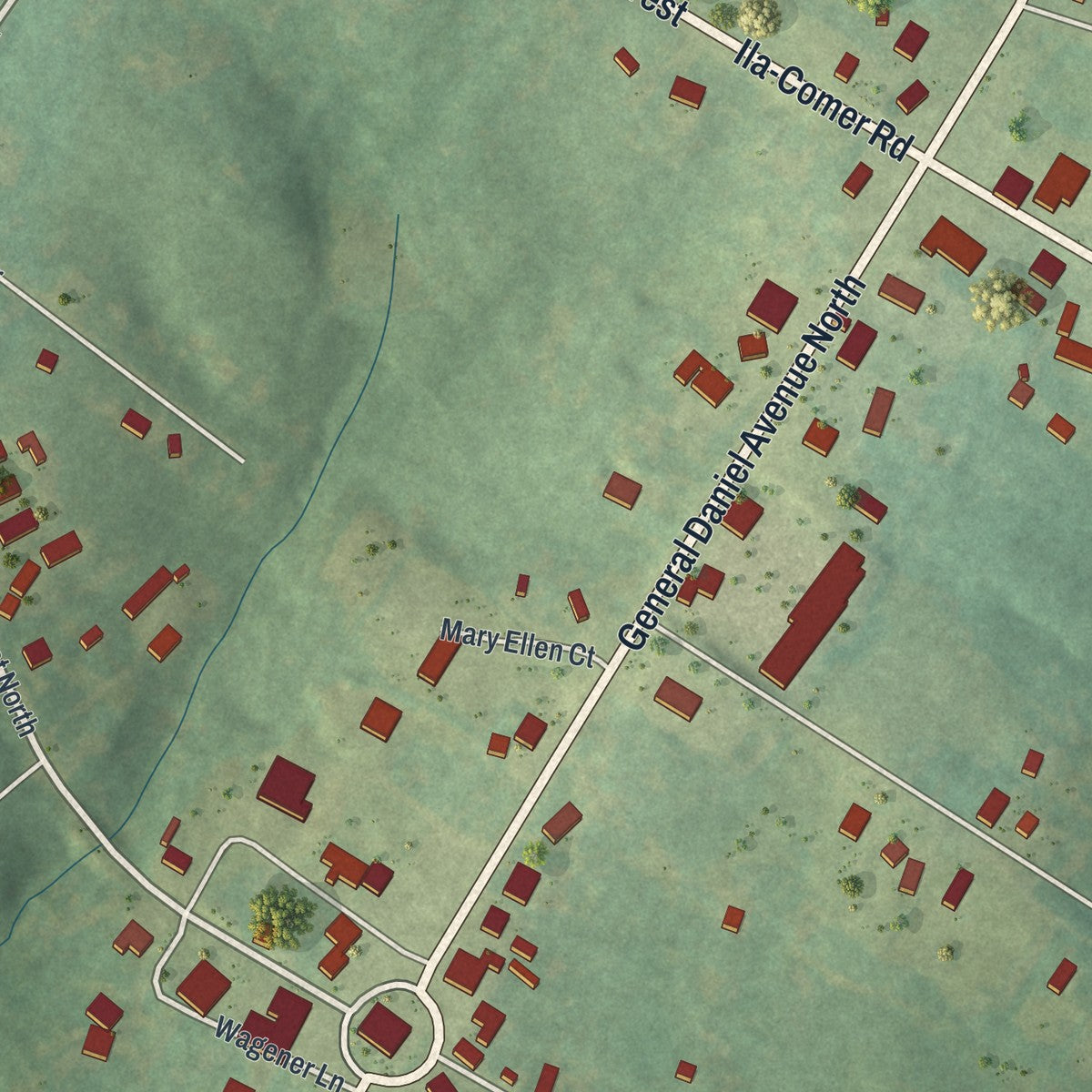 Close-up 1 of the Danielsville, Georgia map artwork