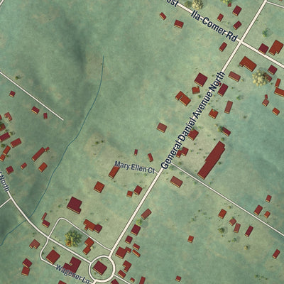 Close-up 1 of the Danielsville, Georgia map artwork