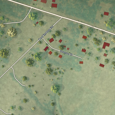 Close-up 2 of the Danville, Georgia map artwork