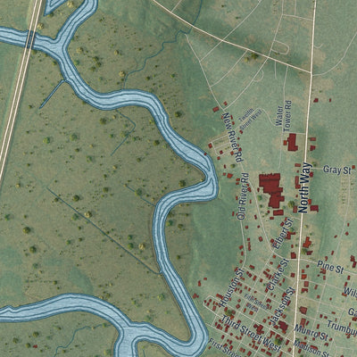 Close-up 2 of the Darien, Georgia map artwork
