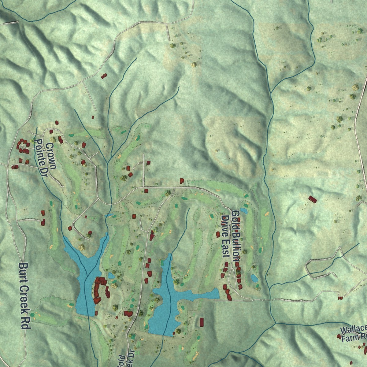 Close-up 2 of the Dawsonville, Georgia map artwork