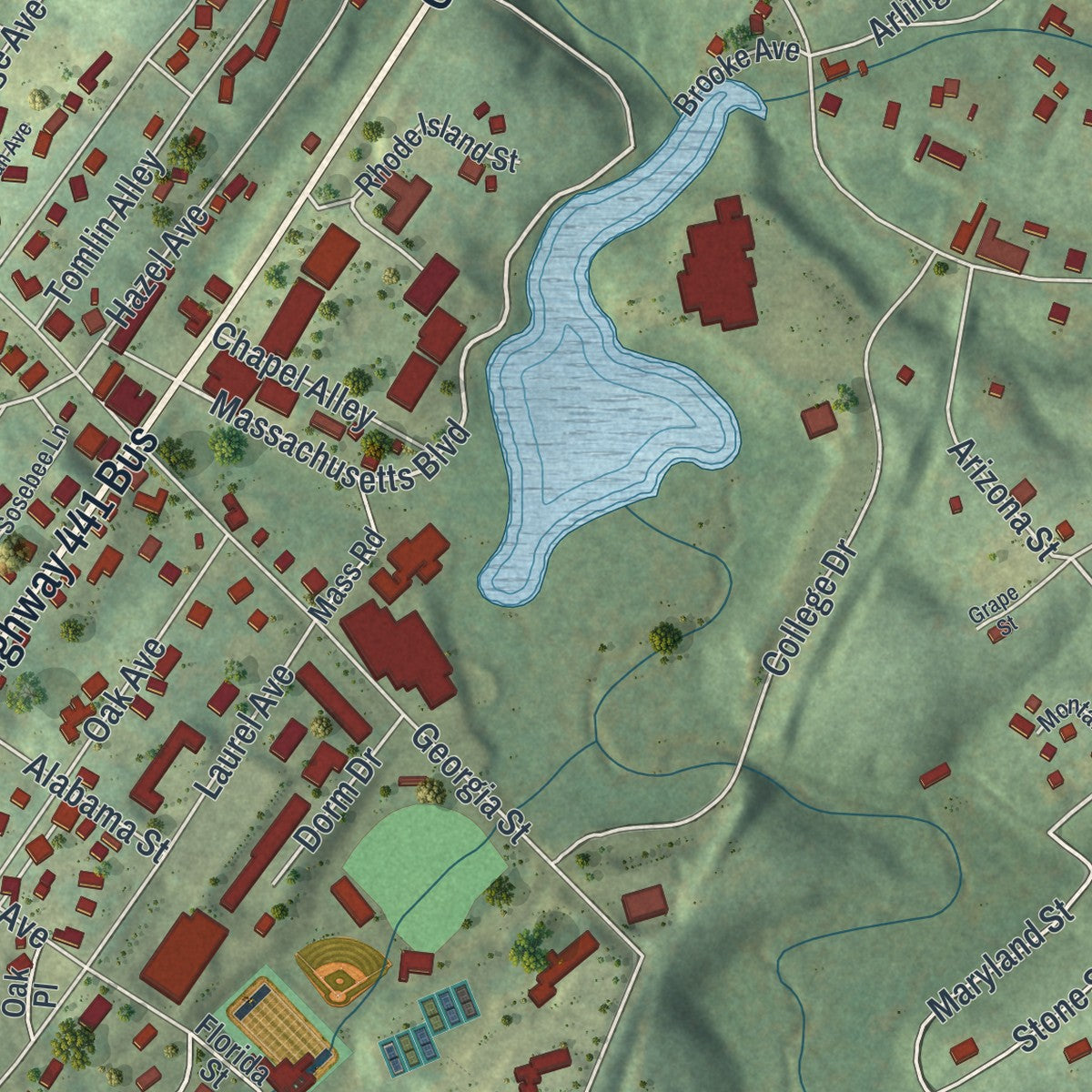 Close-up 1 of the Demorest, Georgia map artwork
