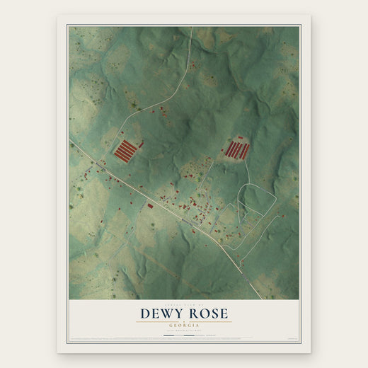 Dewy Rose, Georgia map print, the full design