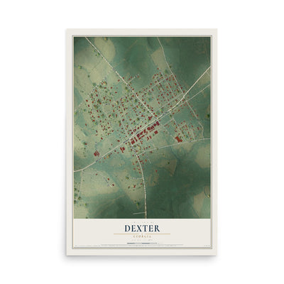 Dexter, Georgia map print, 12" x 18" Archival Matte Print mockup