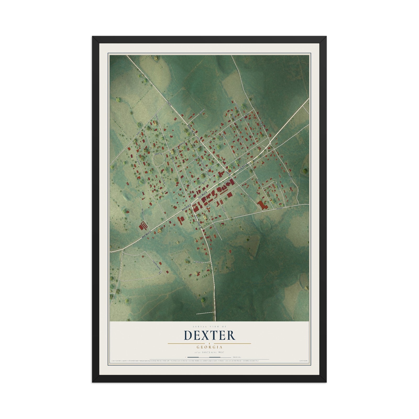 Dexter, Georgia map print, 12" x 18" W/ Black Ayous Wood Frame mockup
