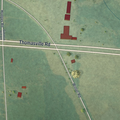 Close-up of the map of Dixie, Georgia print showing street and building detail