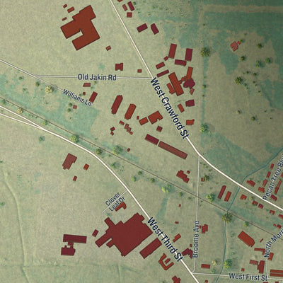 Close-up 2 of the Donalsonville, Georgia map artwork