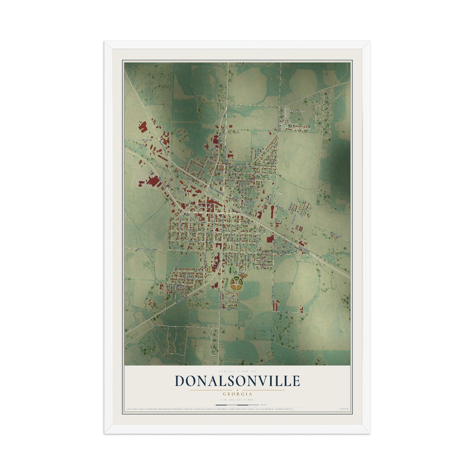 Donalsonville, Georgia map print, 12" x 18" W/ White Ayous Wood Frame mockup