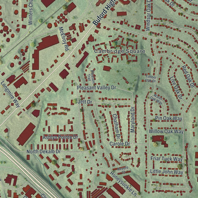 Close-up 1 of the Doraville, Georgia map artwork
