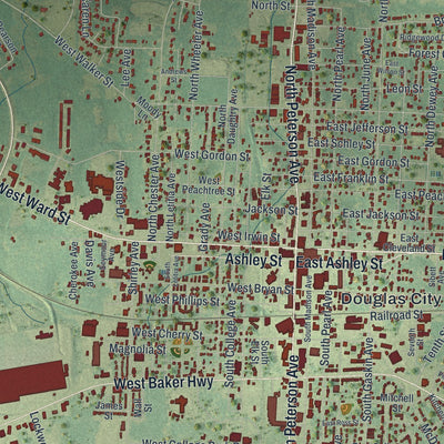 Close-up 1 of the Douglas, Georgia map artwork