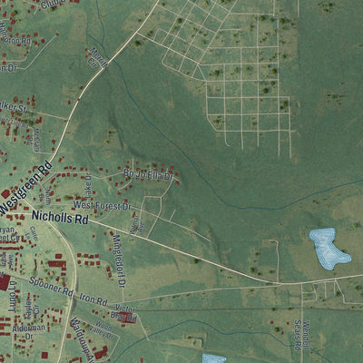 Close-up 2 of the Douglas, Georgia map artwork
