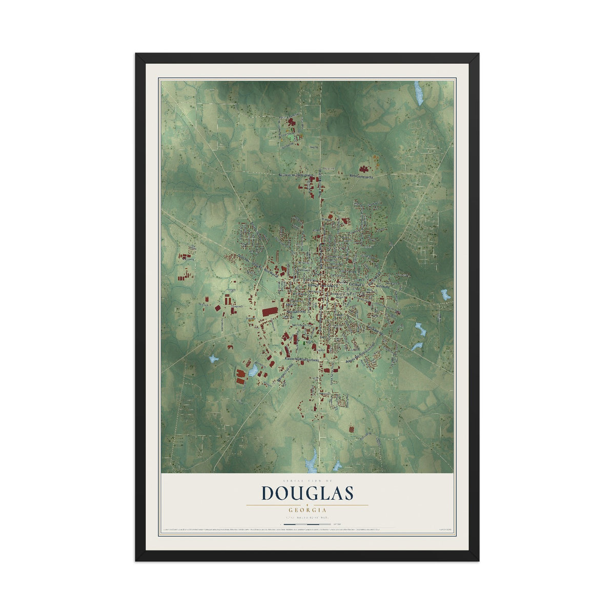 Douglas, Georgia map print, 12" x 18" W/ Black Ayous Wood Frame mockup