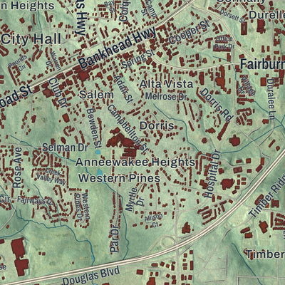 Close-up 1 of the Douglasville, Georgia map artwork