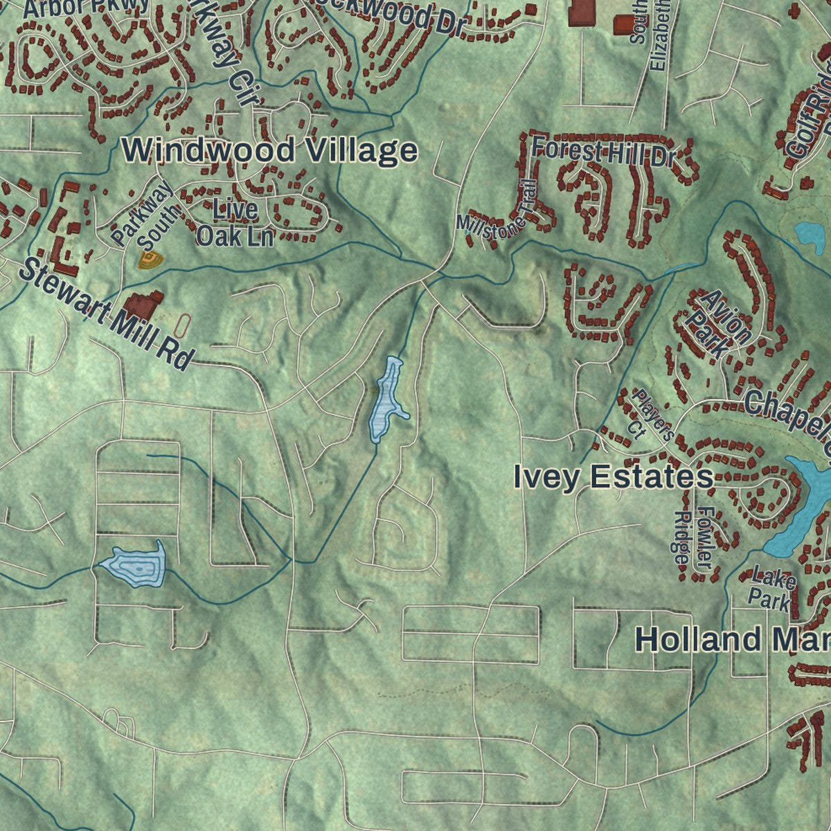 Close-up 2 of the Douglasville, Georgia map artwork