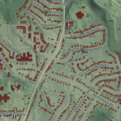 Close-up 1 of the Druid Hills, Georgia map artwork