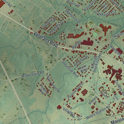 Close-up 2 of the Dublin, Georgia map artwork