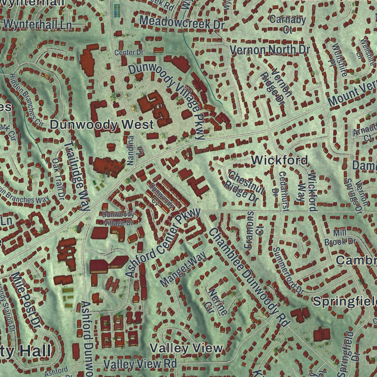 Close-up 1 of the Dunwoody, Georgia map artwork