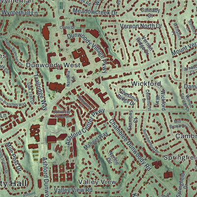 Close-up 1 of the Dunwoody, Georgia map artwork