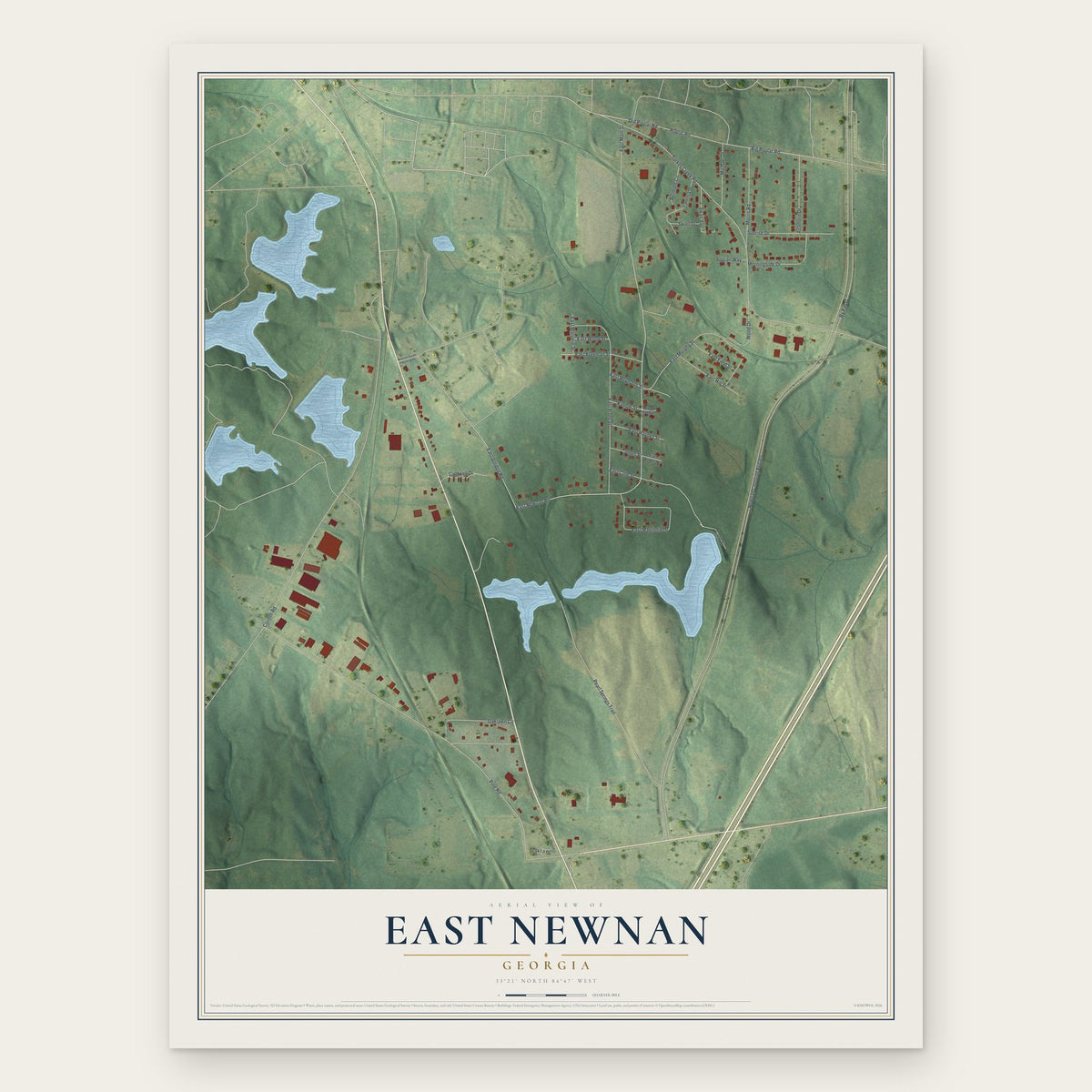 East Newnan, Georgia map print, the full design