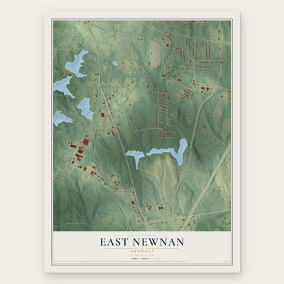 East Newnan, Georgia map print, the full design