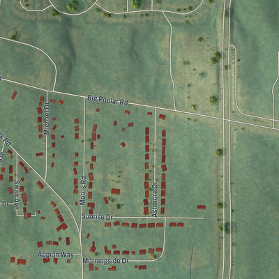 Close-up of the map of East Newnan, Georgia print showing street and building detail
