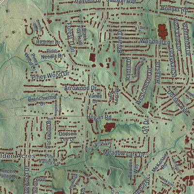Close-up 2 of the East Point, Georgia map artwork