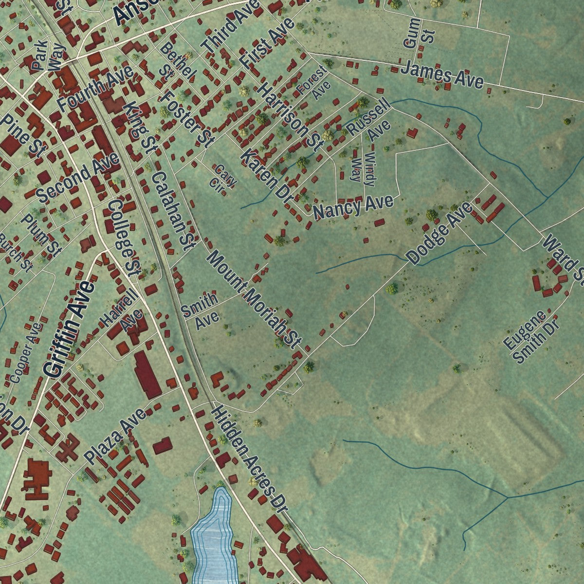 Close-up 2 of the Eastman, Georgia map artwork