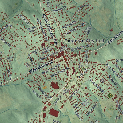 Close-up 1 of the Eatonton, Georgia map artwork