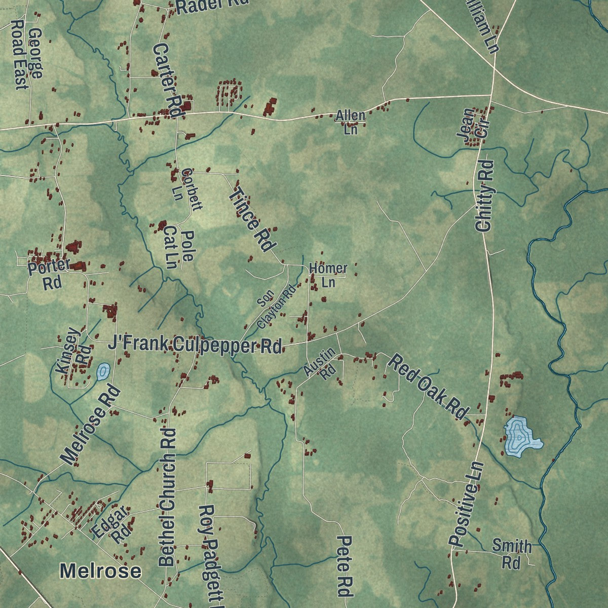 Close-up 1 of the Echols County, Georgia map artwork