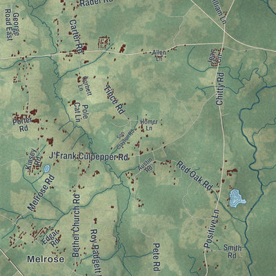 Close-up 1 of the Echols County, Georgia map artwork