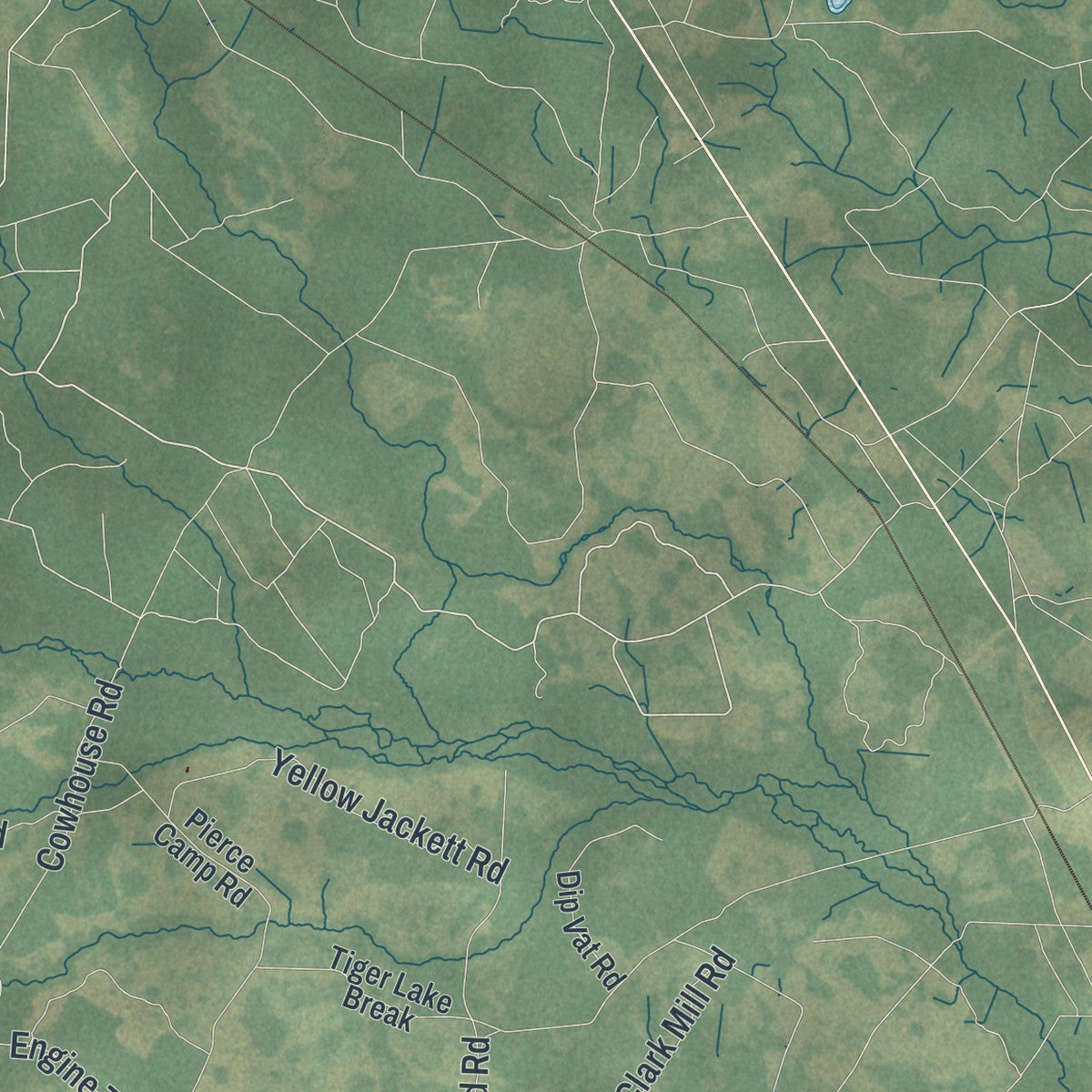 Close-up 2 of the Echols County, Georgia map artwork