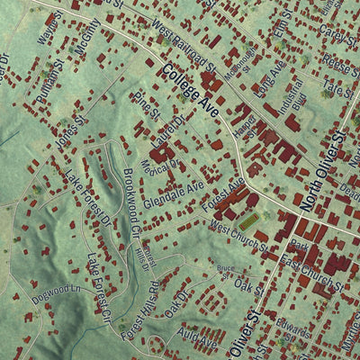 Close-up 1 of the Elberton, Georgia map artwork
