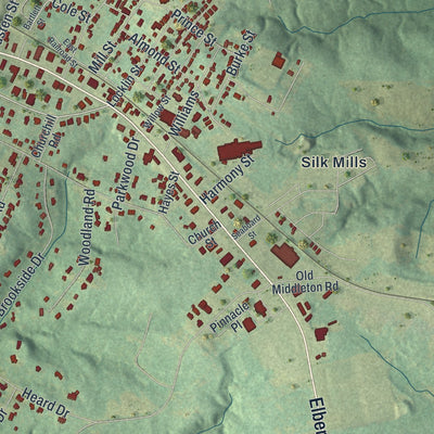 Close-up 2 of the Elberton, Georgia map artwork