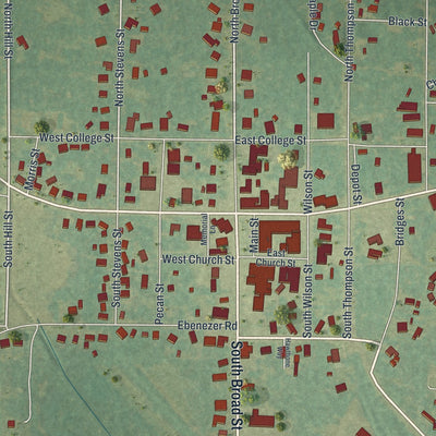 Close-up 1 of the Ellaville, Georgia map artwork