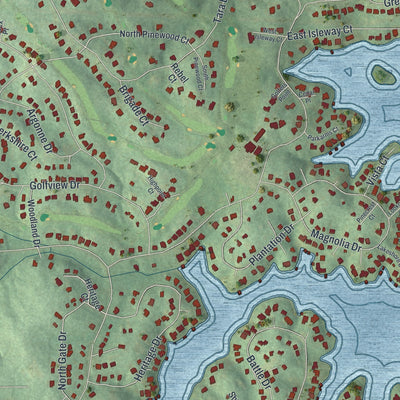 Close-up of the map of Fairfield Plantation, Georgia print showing street and building detail