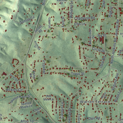Close-up of the map of Fairview, Georgia print showing street and building detail