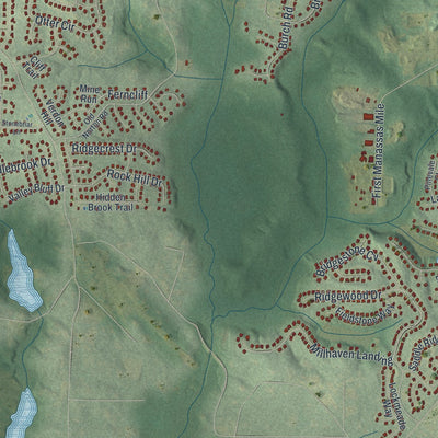 Close-up 2 of the Fayetteville, Georgia map artwork