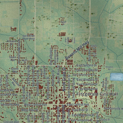 Close-up 1 of the Fitzgerald, Georgia map artwork