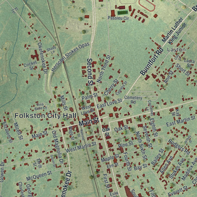 Close-up 1 of the Folkston, Georgia map artwork