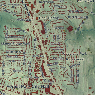 Close-up 1 of the Forest Park, Georgia map artwork