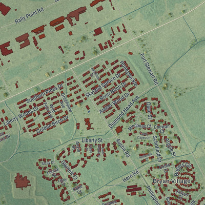 Close-up 1 of the Fort Stewart, Georgia map artwork