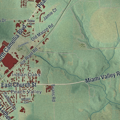 Close-up 1 of the Fort Valley, Georgia map artwork