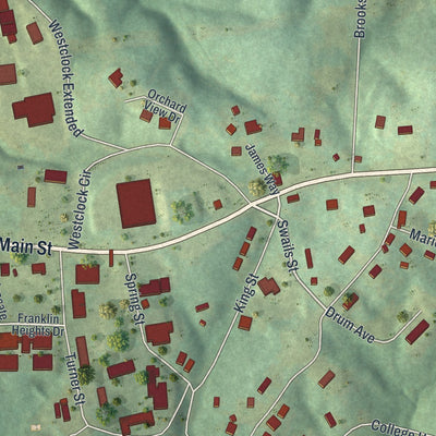 Close-up 1 of the Franklin Springs, Georgia map artwork