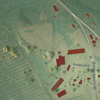 Close-up 2 of the Funston, Georgia map artwork