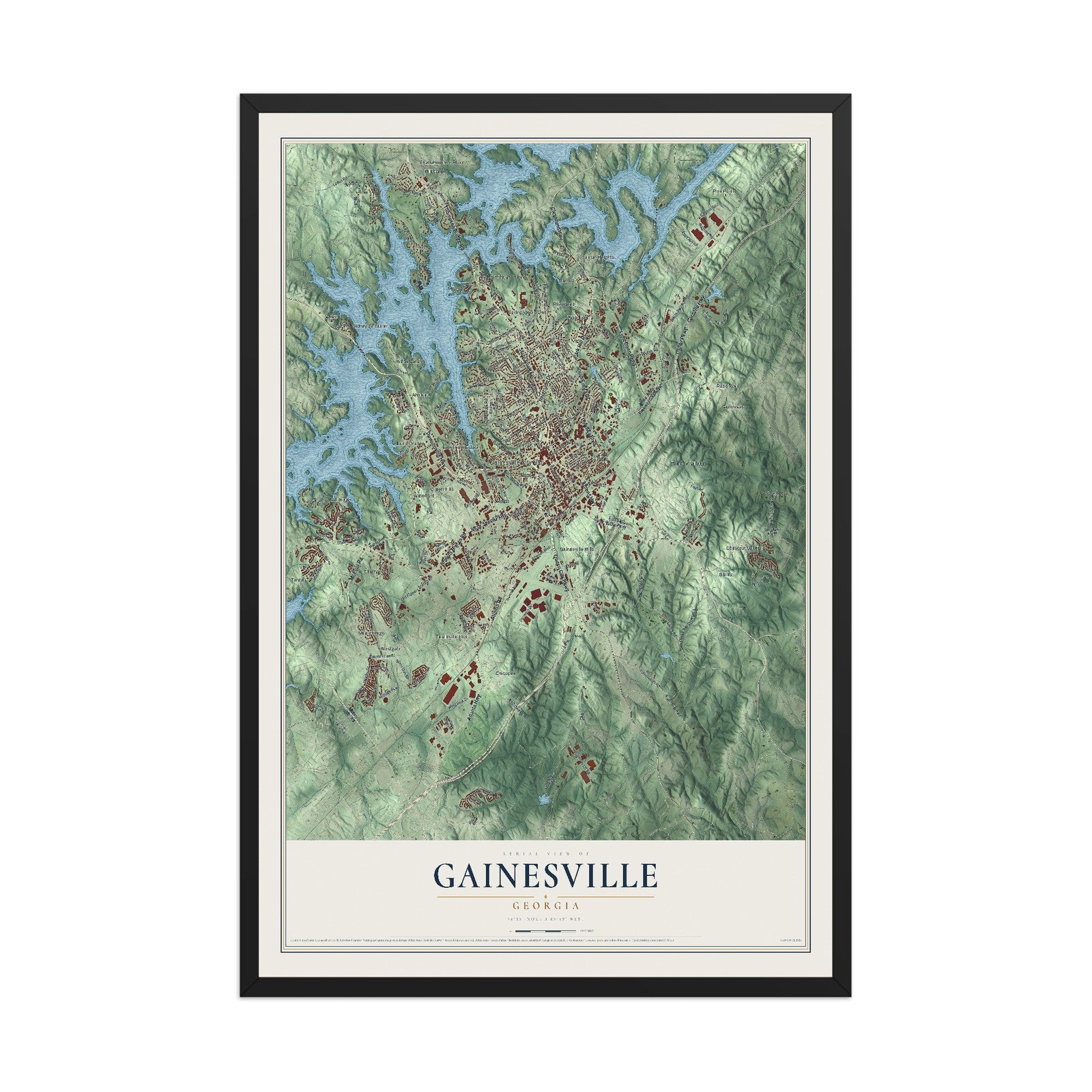 Gainesville, Georgia map print, 12" x 18" W/ Black Ayous Wood Frame mockup