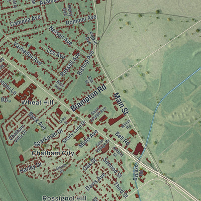 Close-up 1 of the Garden City, Georgia map artwork
