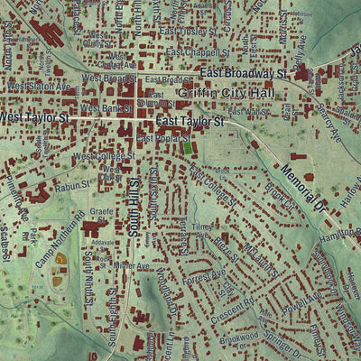 Close-up 1 of the Griffin, Georgia map artwork